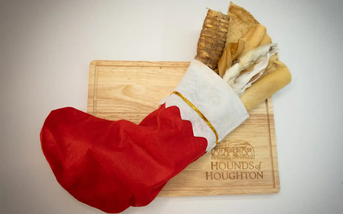 Long-Lasting Christmas Stocking