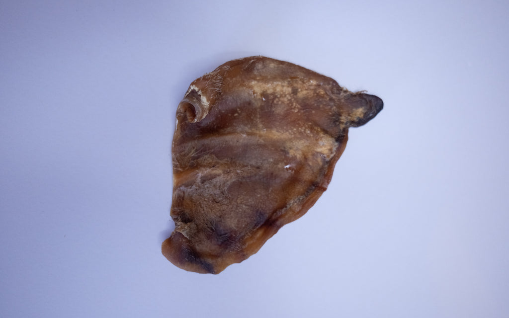 Pig Ear