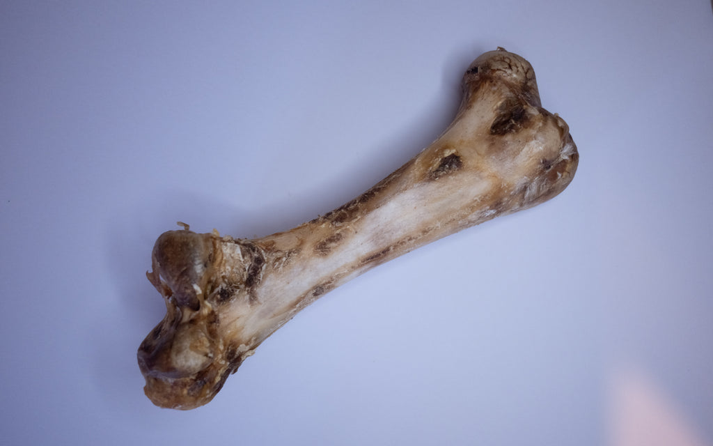 Jumbo Ostrich Bone