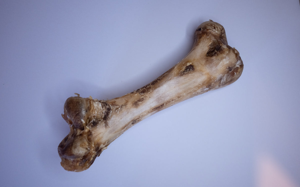 Jumbo Ostrich Bone