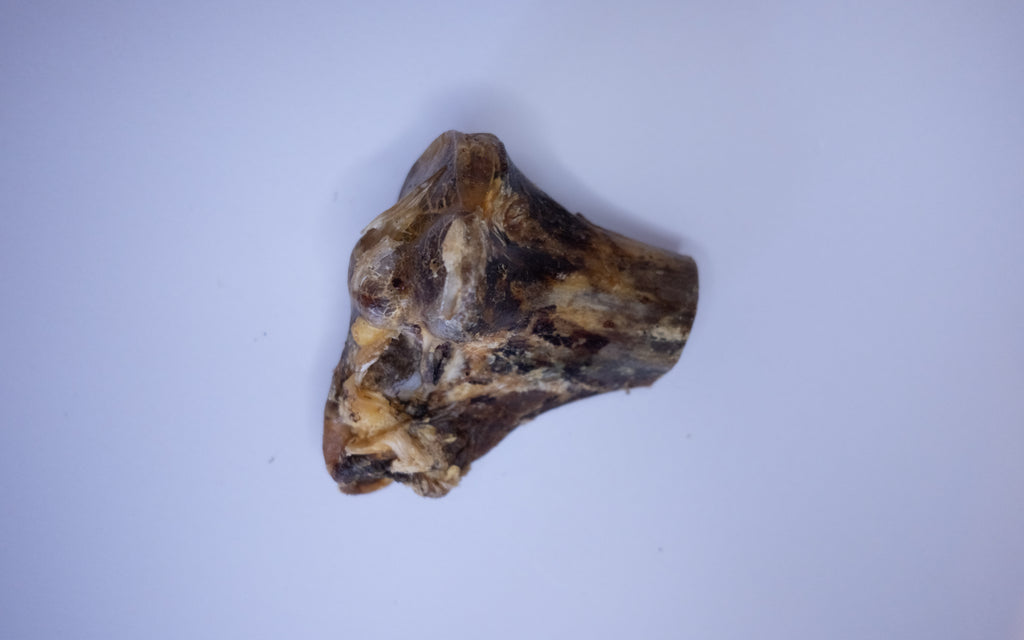 Large Ostrich Knuckle Bone