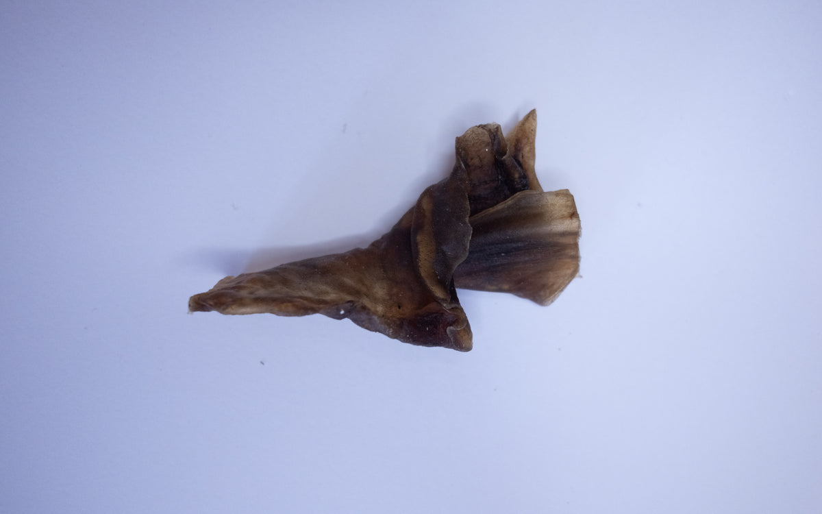 Camel Strip