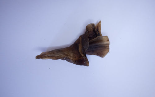 Camel Strip