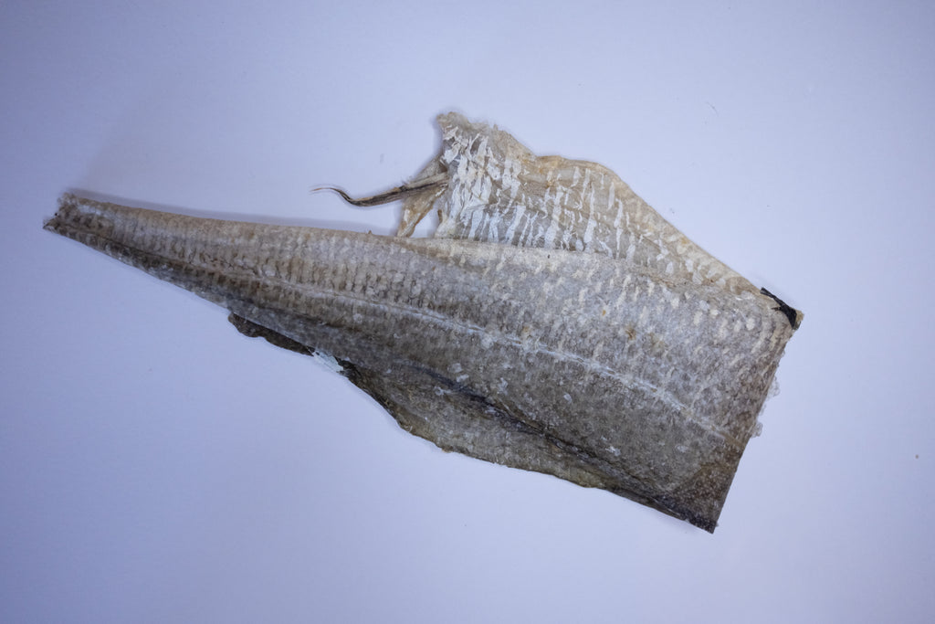 XL Fish Skin Flat