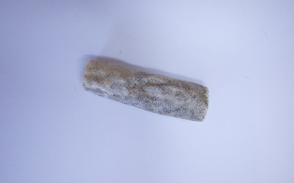 Fish Skin Roll