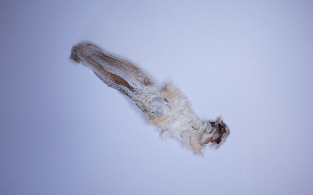 Hairy Rabbit Ear