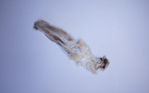 Hairy Rabbit Ear