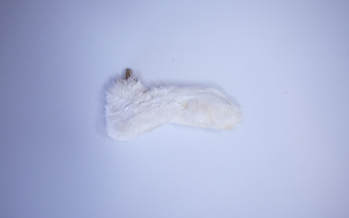 Hairy Rabbit Feet