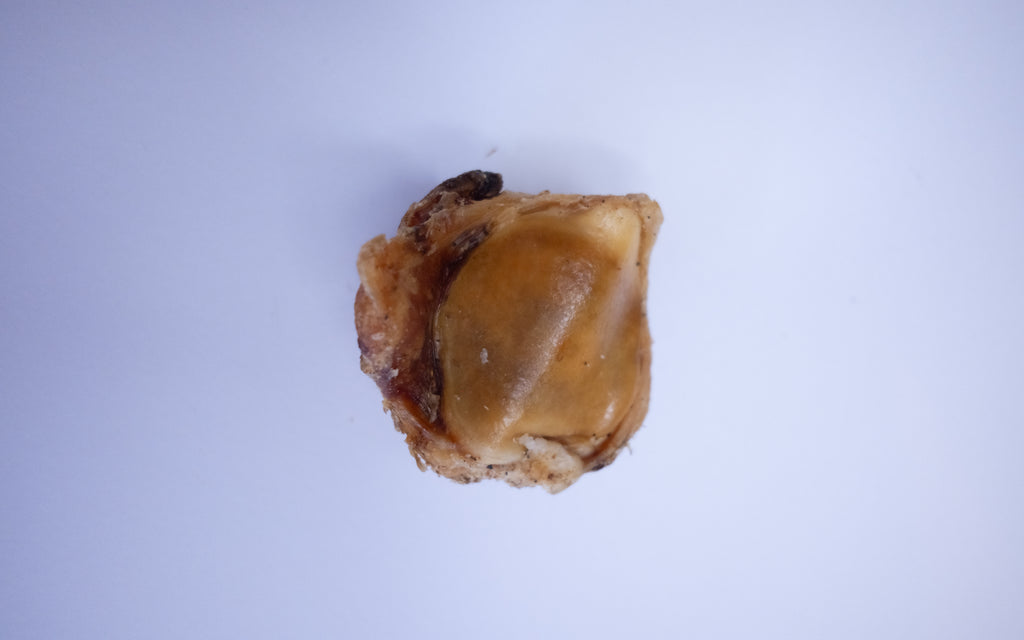 Beef Knee Bone