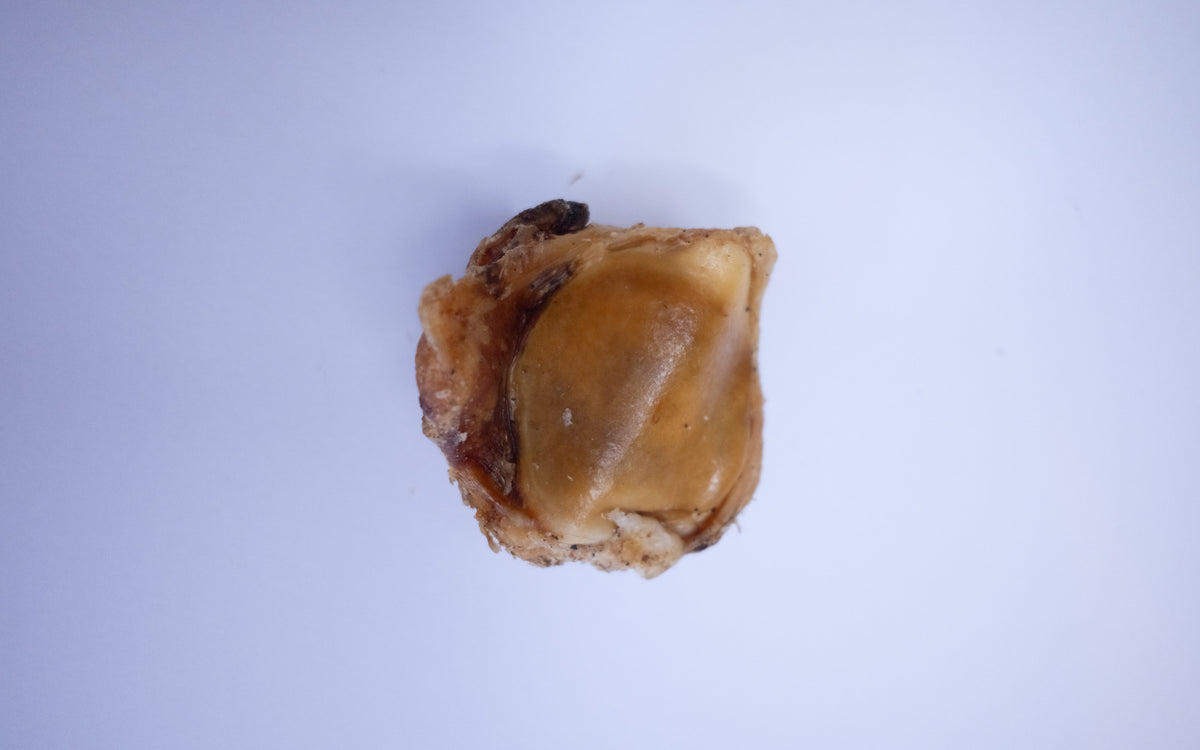 Beef Knee Bone