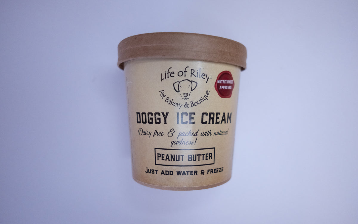 Life Of Riley DIY Doggy Ice Cream