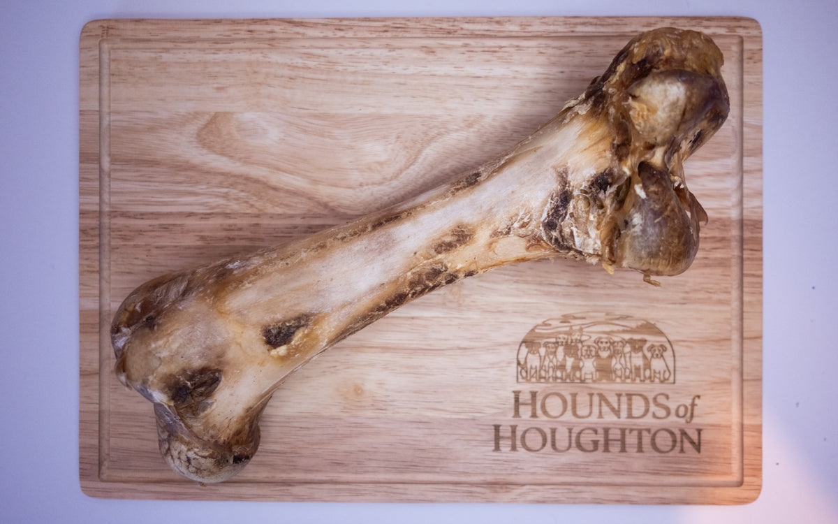 Jumbo Ostrich Bone