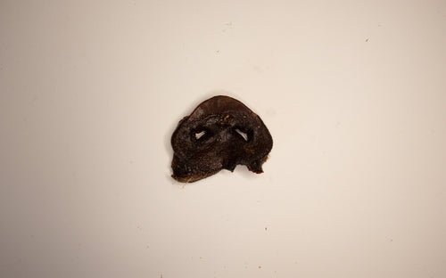 Baked Pig Snout
