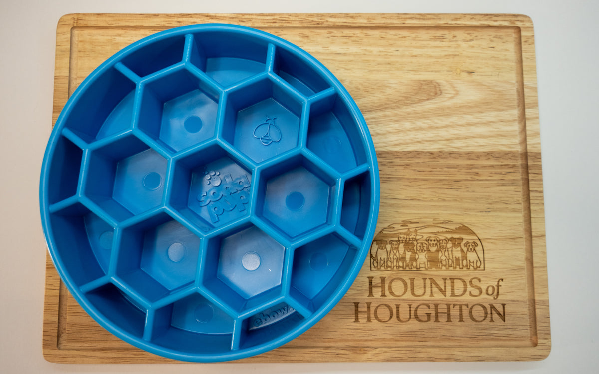 SodaPup Honeycomb Deep Slow Feeder eBowl
